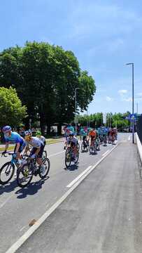 WhatsAppova datoteka Slika, 2025-06-04 ob 14.02.48_75e661b7